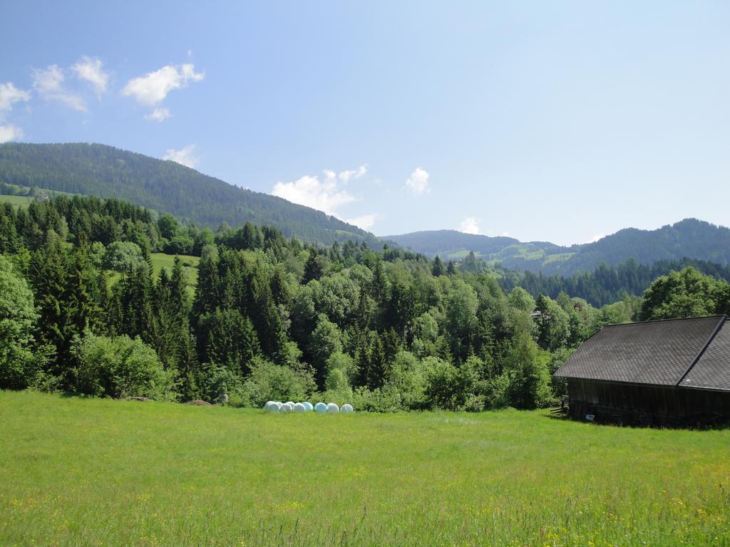 Naturoase Appartements Mirnock Afritz Buitenkant foto
